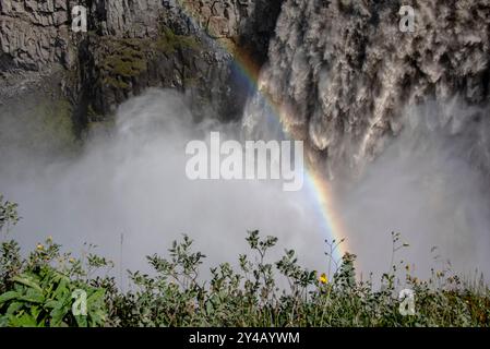 Dettifoss è una spettacolare cascata alta 45 metri e larga 100 metri, situata in un paesaggio lunare completamente deserto e vanta il titolo di acqua Foto Stock