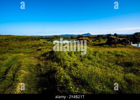 Lago vulcanico Myvatn con riflessi e isole, prati verdi e cieli blu nel nord dell'Islanda Foto Stock