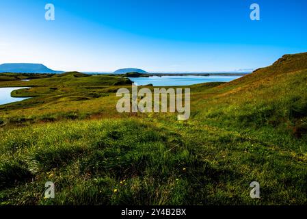 Lago vulcanico Myvatn con riflessi e isole, prati verdi e cieli blu nel nord dell'Islanda Foto Stock