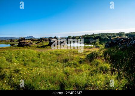 Lago vulcanico Myvatn con riflessi e isole, prati verdi e cieli blu nel nord dell'Islanda Foto Stock