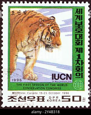 COREA DEL NORD - 1996 CIRCA: Un francobollo stampato in Corea del Nord mostra una tigre (Panthera tigris) Foto Stock