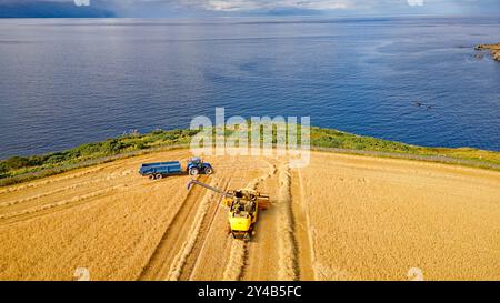 Mietitrebbia Harvester Crovie Aberdeenshire Scotland campo di orzo blu alla fine dell'estate una mietitrice che riempie un rimorchio con granella Foto Stock