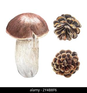 Funghi porcini e un acquerello con coni di pino isolato su bianco. Elemento di design botanico dipinto a mano di alta qualità, perfetto per carte e striscioni Foto Stock