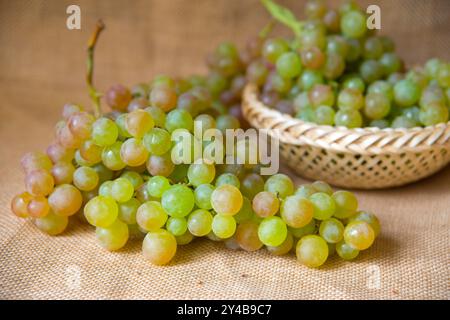 Grappolo di uva di Vinalopo. Spagna. Foto Stock