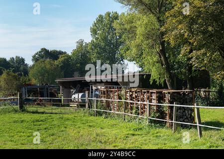 Un affascinante fienile sorge in un tranquillo ambiente di campagna, circondato da alberi lussureggianti e legna da ardere ben accatastata lungo la recinzione, catturando la tranquillità Foto Stock