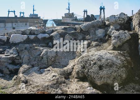 Messico, vera Cruz. Pezzi di corral sono stati utilizzati per la costruzione di una fortezza nel XVI secolo. Foto Stock