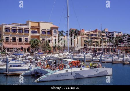 Messico, catamarani nel porto di Cabo San Lucas/Baja California Foto Stock