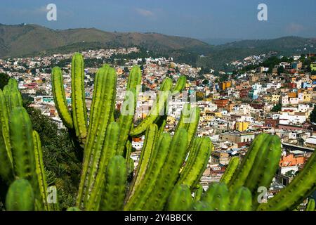 Guanajuato è una città del Messico centrale, capoluogo dello stato omonimo. Fa parte della macroregione di Bajío.The hist Foto Stock