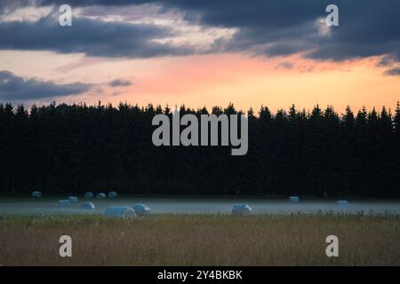 Balle di fieno in un campo tranquillo vicino a una foresta al tramonto Foto Stock