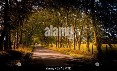 I primi segni dell'autunno nel Lanarkshire meridionale, in Scozia Foto Stock