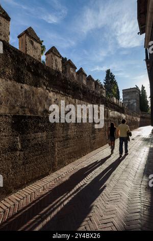 Passeggia lungo Calle Agua nel Barrio de Santa Cruz, godendoti l'incantevole retroilluminazione e l'architettura storica durante le tranquille ore serali. Foto Stock