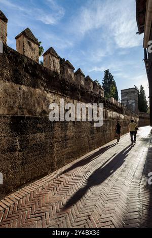 Passeggia lungo l'incantevole e soleggiata via Agua nel Barrio de Santa Cruz, Siviglia, dove le ombre danzano lungo le antiche mura. Foto Stock