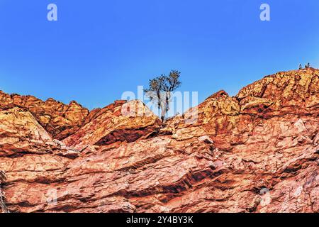 Simpsons Gap nel West MacDonnell Ranges National Park nel Northern Territory of Australia vicino ad Alice Springs Foto Stock