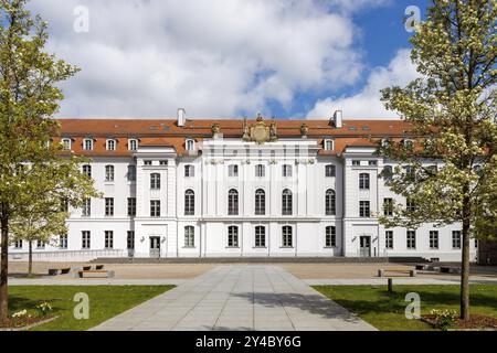 Università di Greifswald Foto Stock