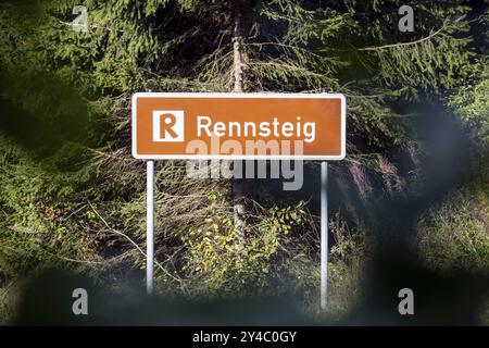 Rennsteig, famoso sentiero escursionistico nella foresta della Turingia con indicazioni stradali. Oberhof, Turingia, Germania, Europa Foto Stock