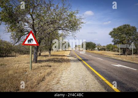 Cartello di avvertimento attenzione elefanti su African Elephant Road, Balule Plains, Sudafrica, Africa Foto Stock