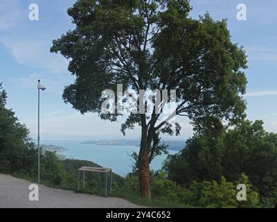 Vista del lago di Costanza dall'Haldenhof sul lago Ueberlingen Foto Stock