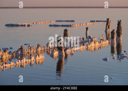 Resti di vecchi bagni di sale sul lago Elton in una soleggiata sera di maggio. Regione di Volgograd, Russia Foto Stock