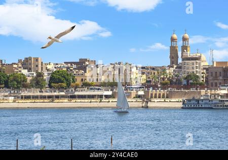 Seagull fliying oltre il fiume Nilo a Luxor, la vista della città e barche a vela Foto Stock