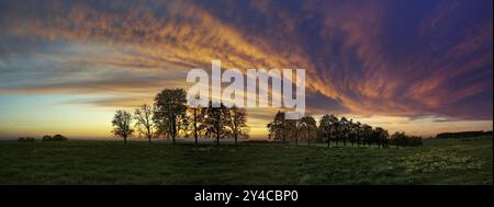 Panorama, fila di alberi all'avvicinarsi di una nuvola frontale Foto Stock