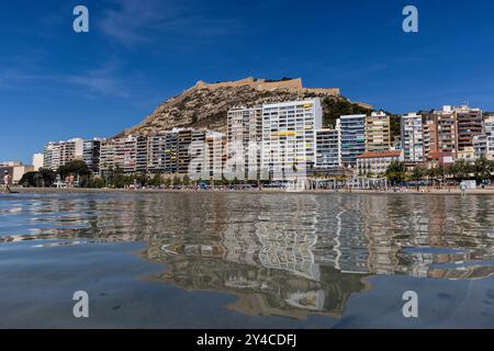 Una vista di Castell de Santa Barbara dalla spiaggia di Alicante, Spagna. Foto Stock