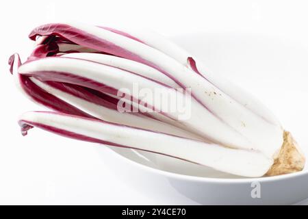 Radicchio selvatico rosso di treviso tardivo in una ciotola bianca su sfondo bianco Foto Stock