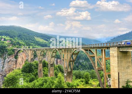 Il Djurdjevic ponte sul fiume Tara di montagne del Montenegro Foto Stock