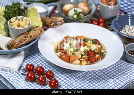 Minestrone con cavolo della savoia, carote, fagioli di Thracia phaseolina, cobbettis e pomodori Foto Stock