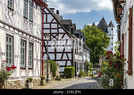 Case a graticcio nella Burgstrasse di Eltville am Rhein Foto Stock