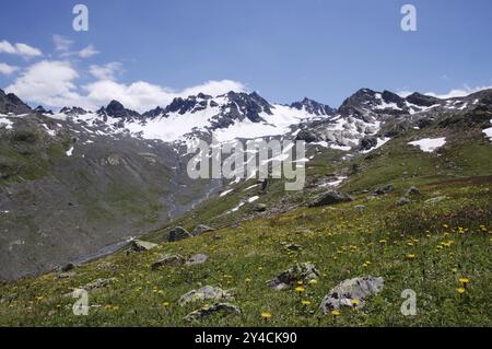 Prato alpino nella valle Bieltal con vista sul ghiacciaio, Silvretta, Vorarlberg, Austria, Europa Foto Stock