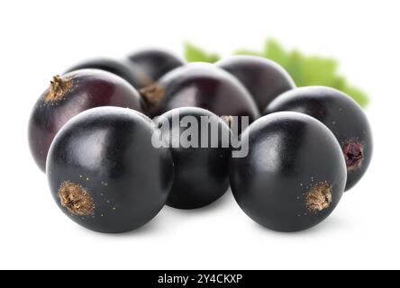 Pila di ribes nero con foglie verdi isolate su sfondo bianco Foto Stock