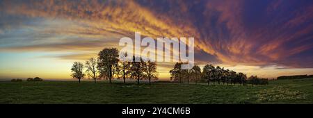 Panorama, fila di alberi all'avvicinarsi di una nuvola frontale Foto Stock