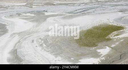 Banco di sabbia sul lago Silvretta Foto Stock