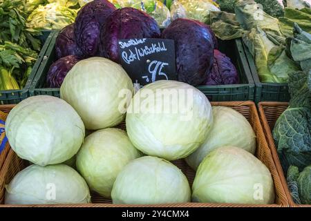 Cavolo bianco e rosso in vendita su un mercato Foto Stock