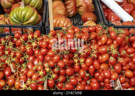 Pomodori piccoli e grandi in vendita in un mercato Foto Stock
