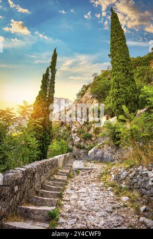 Strada nella fortezza di Cattaro all'alba, Montenegro, Europa Foto Stock