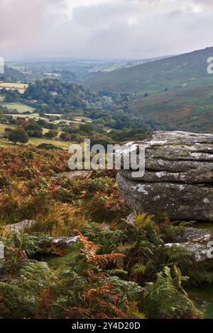 La mattina presto, lontana fotografia di Dartmeet e Hexworthy Foto Stock