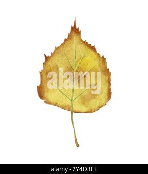 Foglia di betulla, autunno, ingiallito, caduto. Illustrazione di alta qualità. Su sfondo bianco. Un elemento per il design delle composizioni autunnali. Foglie cadute Foto Stock