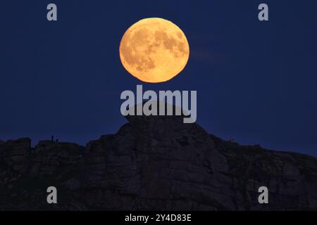 Dartmoor, Devon, Regno Unito. 17 settembre 2024. Full Harvest Supermoon risplende su Hay Tor a Dartmoor, Devon, Regno Unito. La Luna piena di settembre è spesso chiamata la Luna del raccolto a causa della sua associazione con i raccolti autunnali nell'emisfero settentrionale. Crediti: Nidpor/Alamy Live News Foto Stock