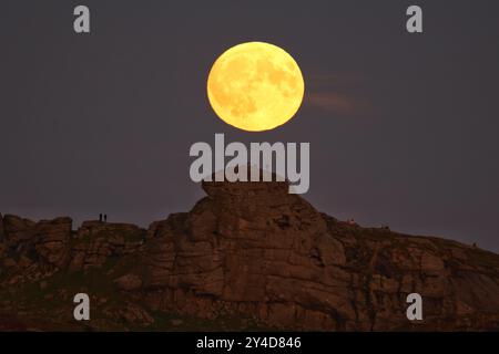 Dartmoor, Devon, Regno Unito. 17 settembre 2024. Full Harvest Supermoon risplende su Hay Tor a Dartmoor, Devon, Regno Unito. La Luna piena di settembre è spesso chiamata la Luna del raccolto a causa della sua associazione con i raccolti autunnali nell'emisfero settentrionale. Crediti: Nidpor/Alamy Live News Foto Stock