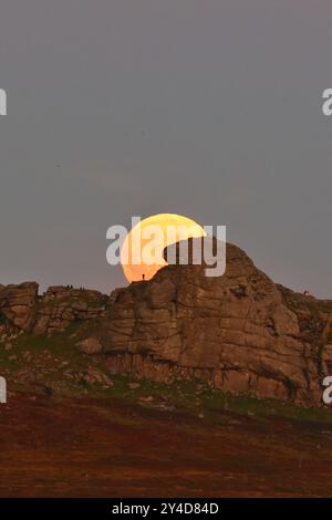 Dartmoor, Devon, Regno Unito. 17 settembre 2024. Full Harvest Supermoon risplende su Hay Tor a Dartmoor, Devon, Regno Unito. La Luna piena di settembre è spesso chiamata la Luna del raccolto a causa della sua associazione con i raccolti autunnali nell'emisfero settentrionale. Crediti: Nidpor/Alamy Live News Foto Stock