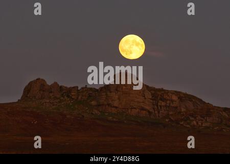 Dartmoor, Devon, Regno Unito. 17 settembre 2024. Full Harvest Supermoon risplende su Hay Tor a Dartmoor, Devon, Regno Unito. La Luna piena di settembre è spesso chiamata la Luna del raccolto a causa della sua associazione con i raccolti autunnali nell'emisfero settentrionale. Crediti: Nidpor/Alamy Live News Foto Stock