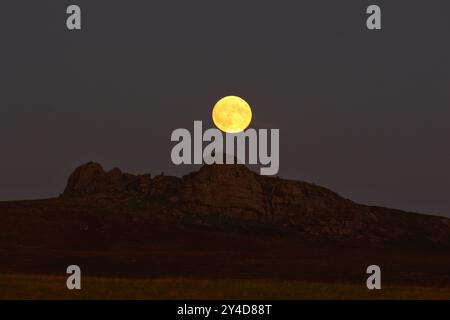 Dartmoor, Devon, Regno Unito. 17 settembre 2024. Full Harvest Supermoon risplende su Hay Tor a Dartmoor, Devon, Regno Unito. La Luna piena di settembre è spesso chiamata la Luna del raccolto a causa della sua associazione con i raccolti autunnali nell'emisfero settentrionale. Crediti: Nidpor/Alamy Live News Foto Stock