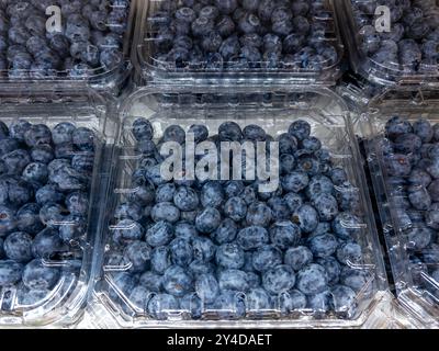 Mirtilli in scatole di plastica trasparente per la vendita al supermercato Foto Stock