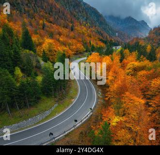 Vista aerea della strada bagnata e della foresta arancione in autunno dorato Foto Stock