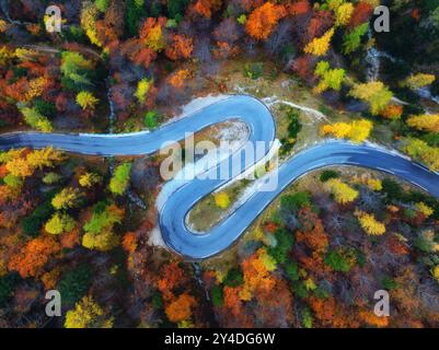 Vista aerea della strada bagnata e della foresta arancione in autunno dorato Foto Stock