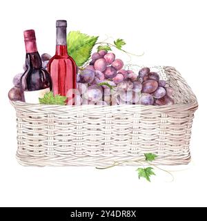 Set di vino e uva. Composizione delle bottiglie di vino e delle uve rosa e blu in un cesto. Illustrazione acquerello su sfondo bianco. Il disegno è disegnato a mano. Adatto per menu, carte, inviti e tessuti Foto Stock