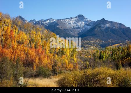 Paesaggio autunnale con fogliame autunnale e vette innevate nelle San Juan Mountains Foto Stock