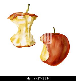 set di mele. Frutta residua. Due mele. Una carota e una mela morsa. Il frutto è rosso. La polpa è leggera e succosa. Illustrazione acquerello. Foto Stock