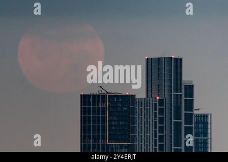 Londra, Regno Unito. 18 settembre 2024. Meteo nel Regno Unito: Una superluna di granturco quasi piena, illuminata al 98%, domina la città nelle prime ore del mercoledì mattina, muovendosi verso ovest. Il secondo di quattro Superlune ad apparire nel 2024. La luna piena di mais di settembre è così chiamata perché è quando le colture vengono raccolte alla fine della stagione estiva, chiamata anche la "luna d'orzo", ed è spesso la luna piena più vicina all'equinozio autunnale, guadagnandosi il titolo di "luna del raccolto". Crediti: Guy Corbishley/Alamy Live News Foto Stock